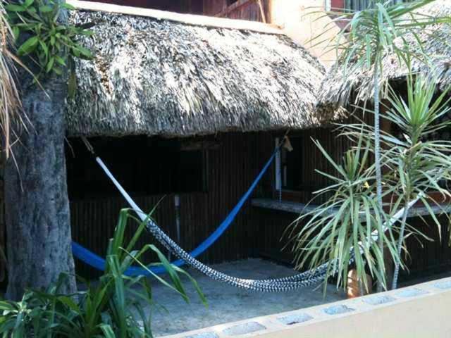 Mayan Hostel Cancun Exterior photo